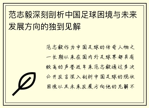 范志毅深刻剖析中国足球困境与未来发展方向的独到见解